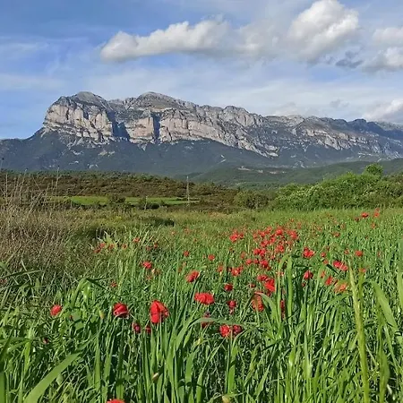 Bajo Pena Sanlorien *