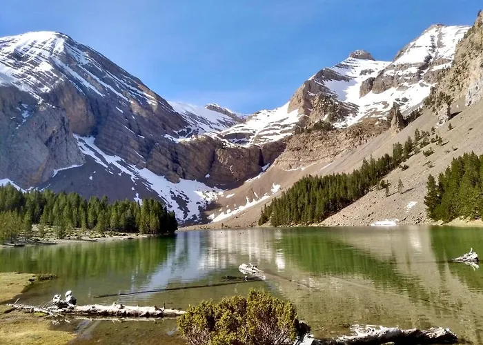 Bajo Pena Sanlorien *