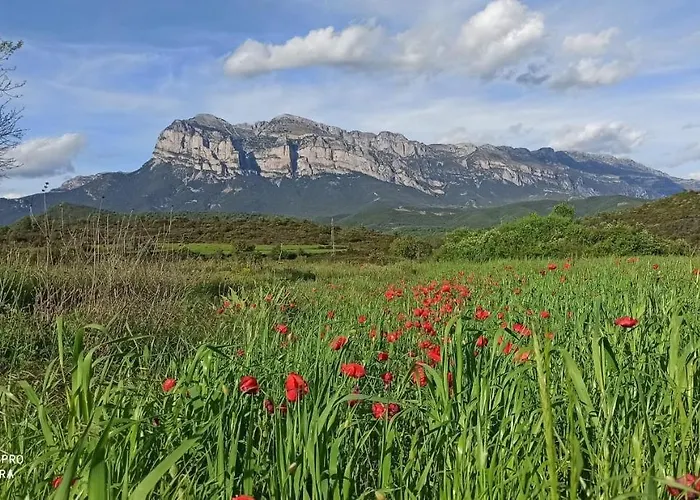 Bajo Pena Sanlorien *