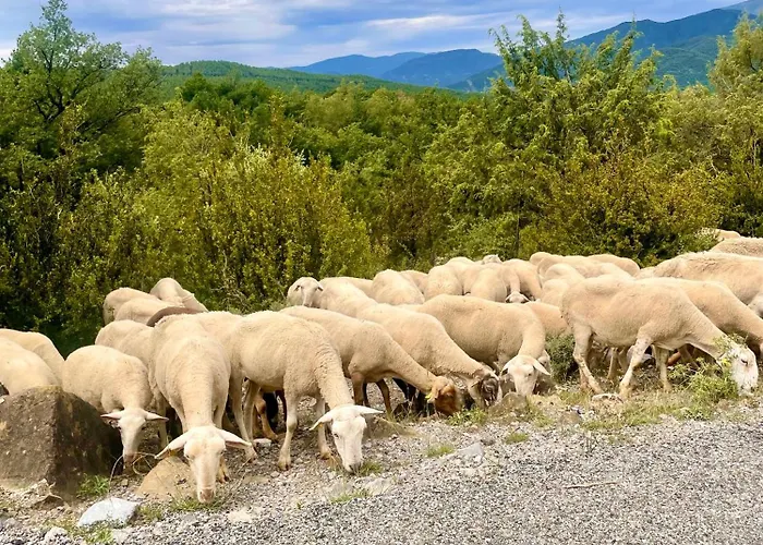 Lägenhet Bajo Pena Sanlorien *